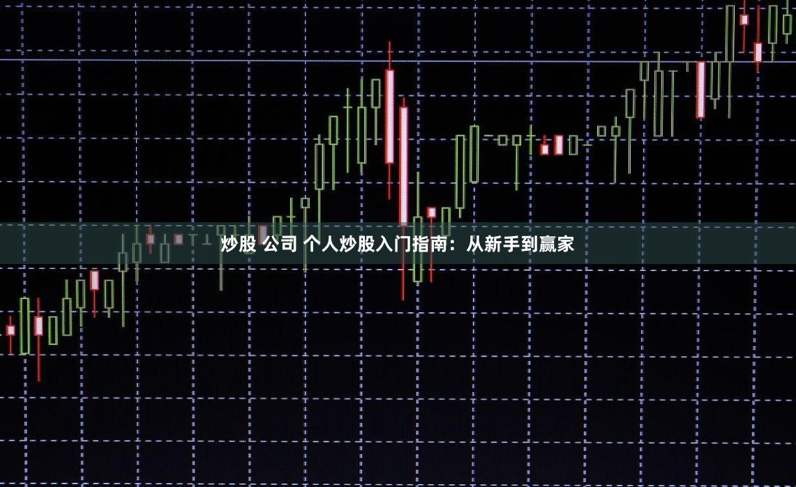 炒股 公司 个人炒股入门指南：从新手到赢家