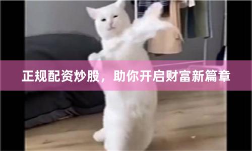 正规配资炒股，助你开启财富新篇章