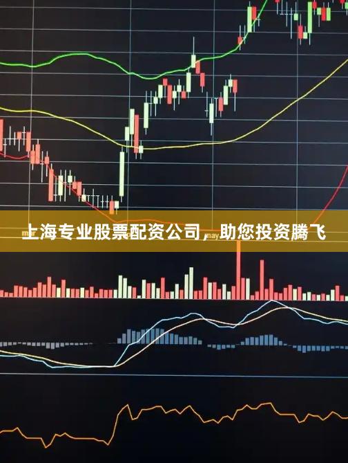 上海专业股票配资公司，助您投资腾飞