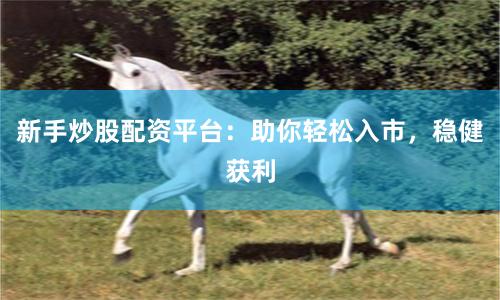 新手炒股配资平台：助你轻松入市，稳健获利