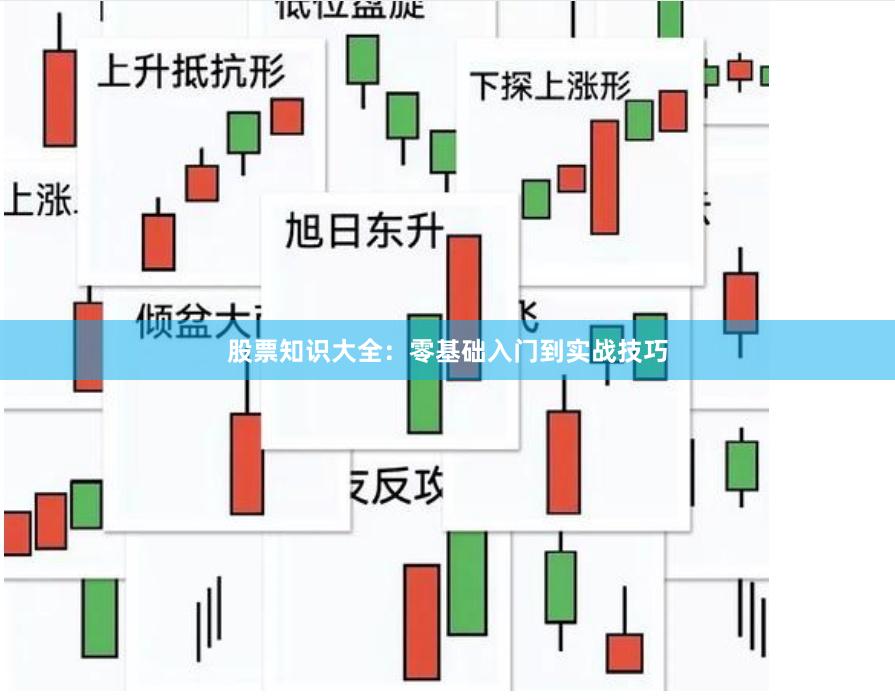股票知识大全：零基础入门到实战技巧