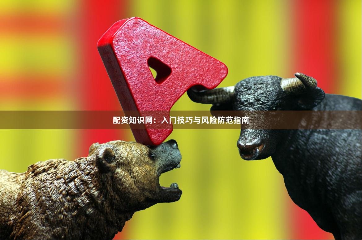 配资知识网：入门技巧与风险防范指南